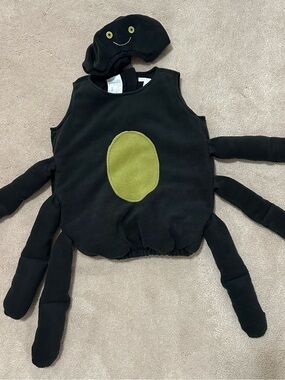 Pottery Barn Kids Black Spider Costume with Green Accent